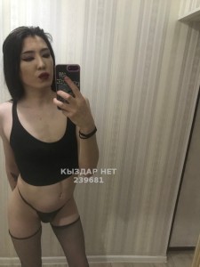 Транс Караганды Транс№239681 J A N E L Y A Фотография №2673073
