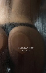 Проститутка Алматы Анкета №501237 Фотография №3767107