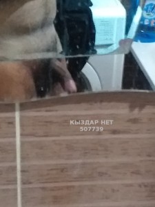 Жиголо Алматы Парень№507739 Салих Фотография №3794689