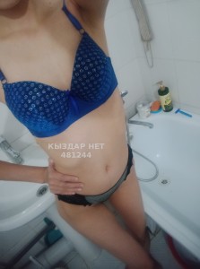 Проститутка Шымкента Анкета №481244 Фотография №3829462