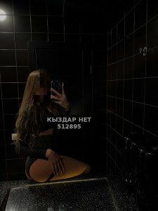 Проститутка Караганды Девушка№512895 Aylin Фотография №3882225